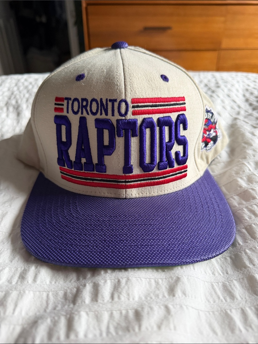 Mitchell & Ness Toronto Raptors Hardwood Classics Snapback Hat